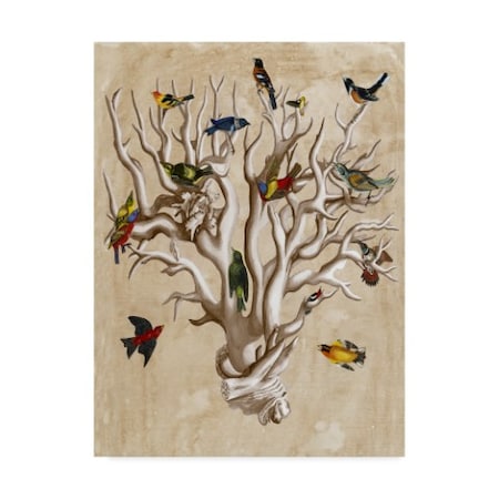 Naomi Mccavitt 'The Ornithologists Dream I' Canvas Art,14x19